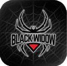 Lock Labs Black Widow Logo